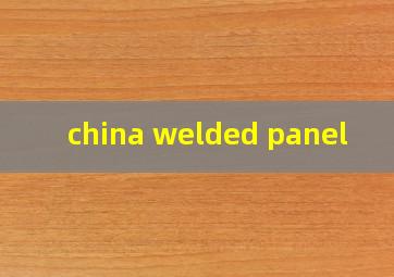  china welded panel